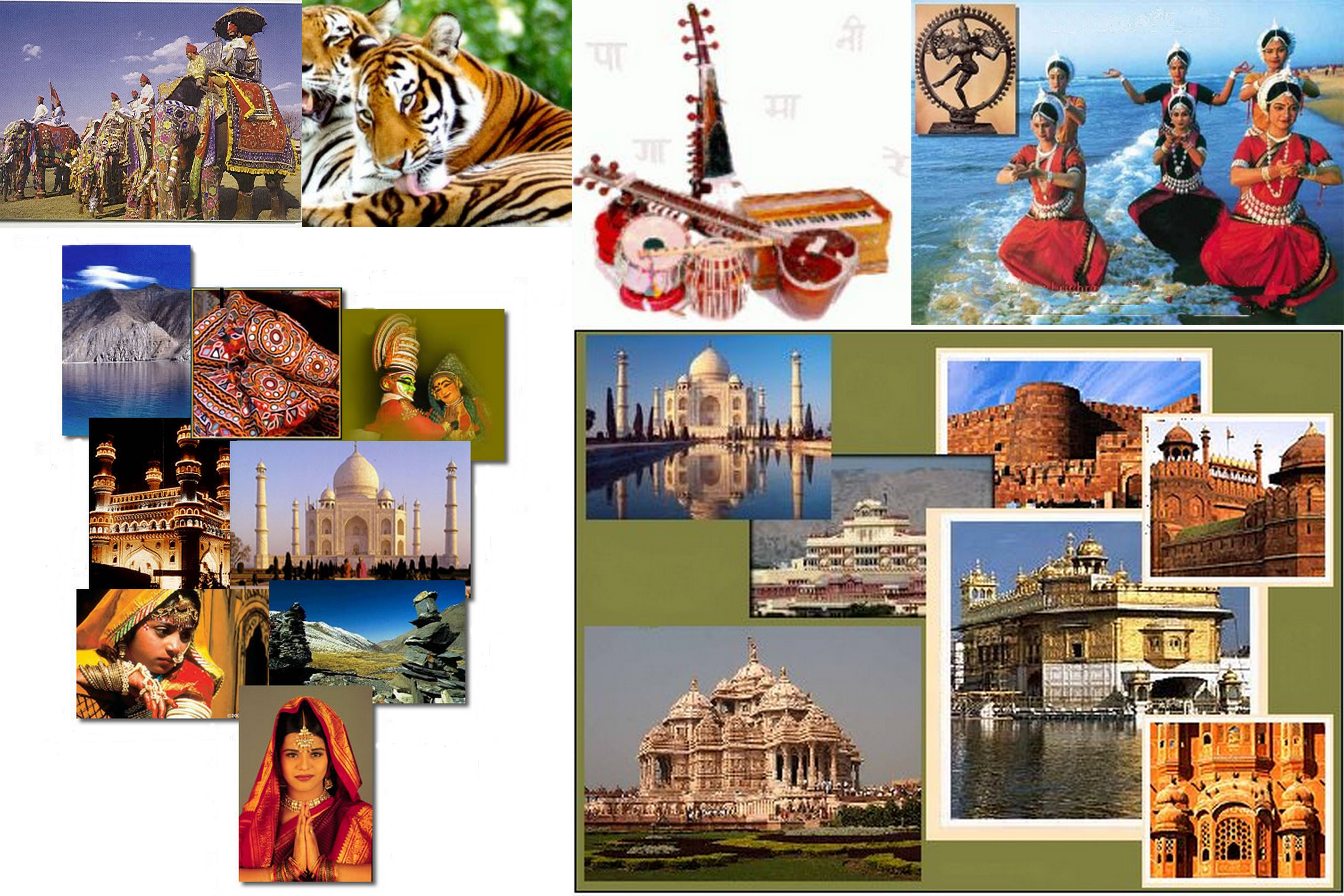 Volunteer With Indian Culture Volunteering India Programs