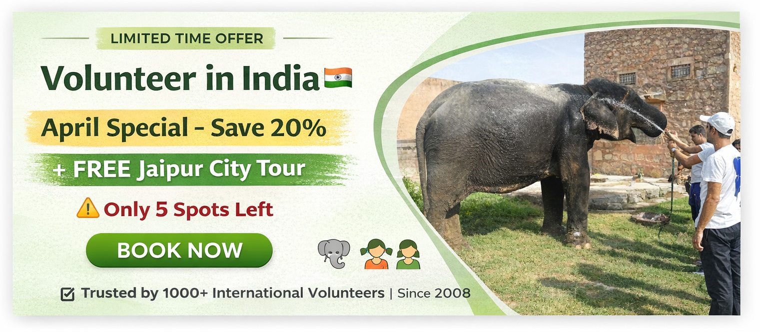 Freiwilligenarbeit in Indien