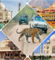 Wildtiere Taj Mahal Tour Indien