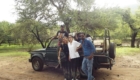 ranthambore tiger safari tour