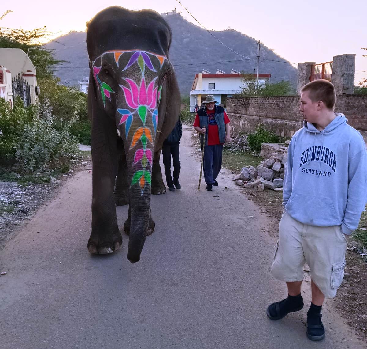elephant sanctuary jaipur