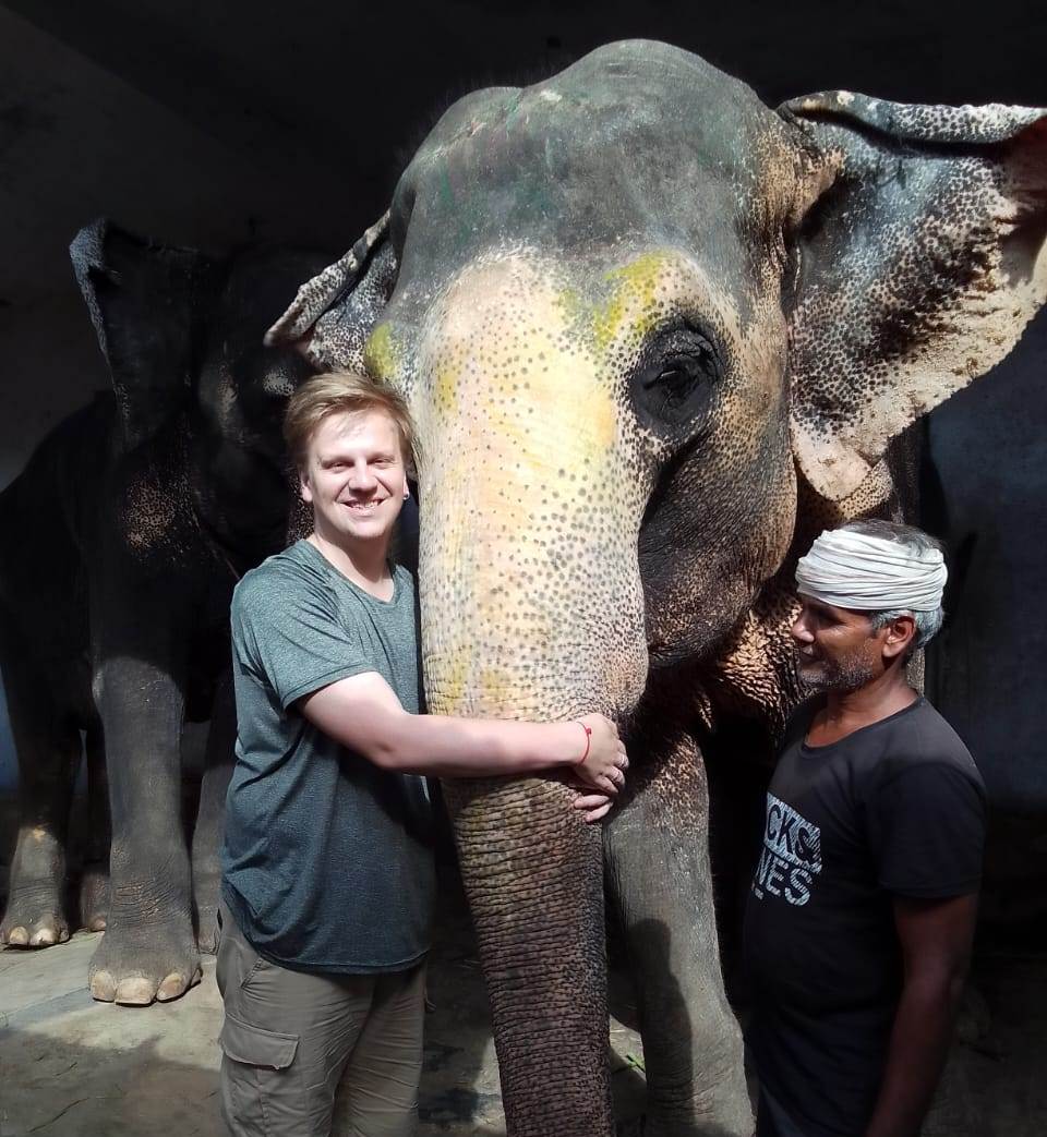 jaipur elephant project